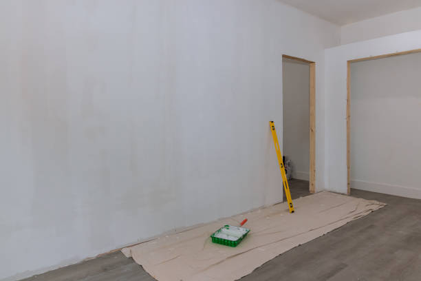Professional Mold Removal in Bethpage, NY